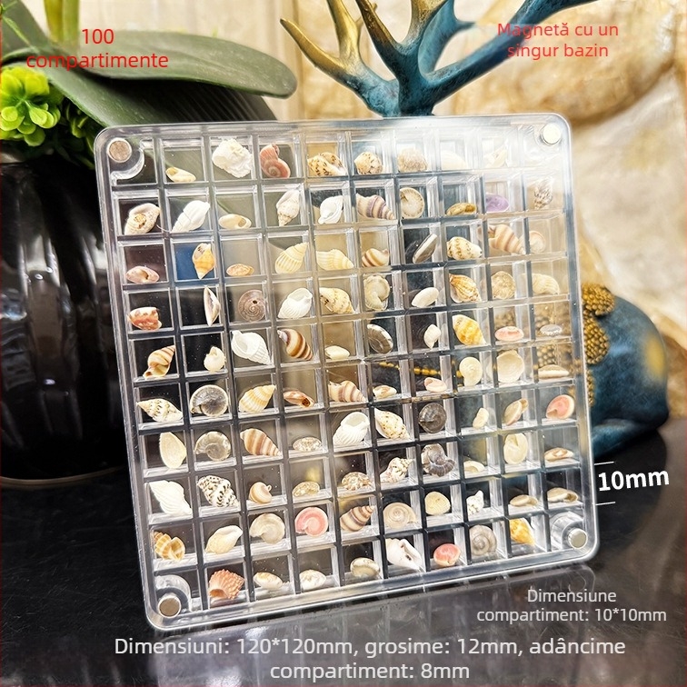 Cutie acrilică cu compartimente magnetice și ramă foto cu scoică, față și verso, mini spațiu de depozitare pentru bijuterii, stil modern minimalist