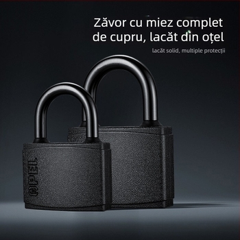 Lacăt de uz casnic, corp din fier, nucleu din cupru, model W-Black-TK, pentru porți, depozite, camioane, închisori, dulapuri, bagaje, școli și șantiere.