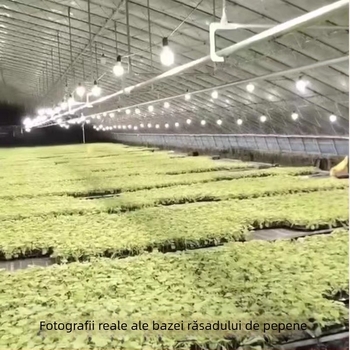 Lampă LED pentru creșterea plantelor, spectru complet, 32 LED, 2015 lm, 220V intrare, cip Mullinsen, viață 30000 h