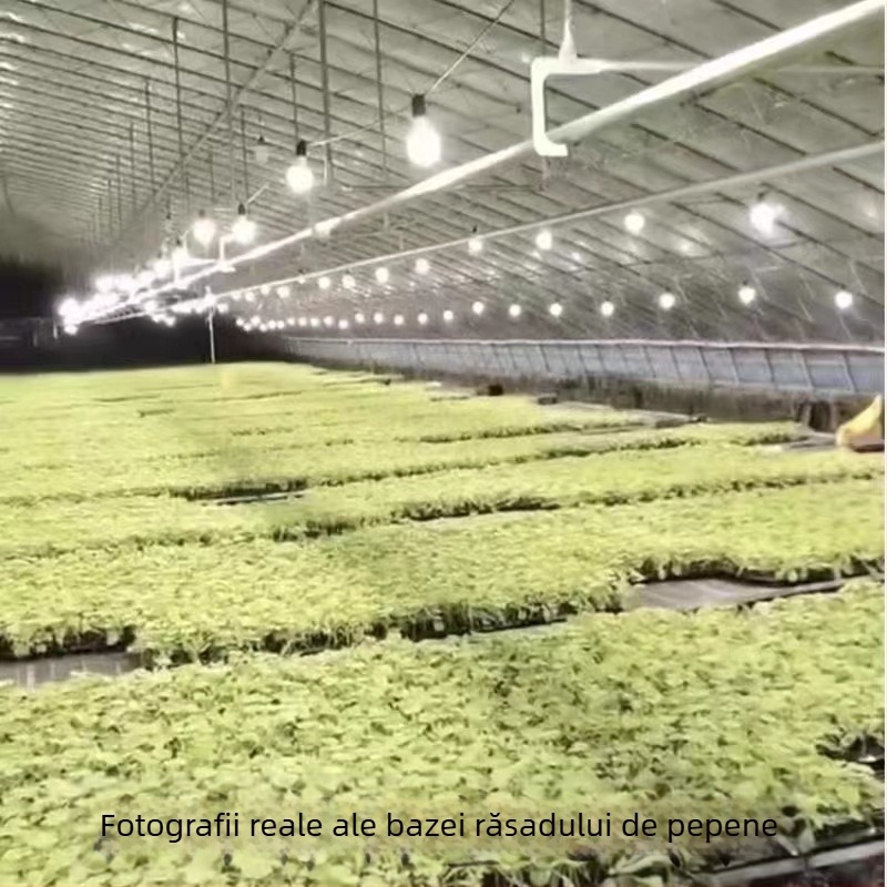 Lampă LED pentru creșterea plantelor, spectru complet, 32 LED, 2015 lm, 220V intrare, cip Mullinsen, viață 30000 h