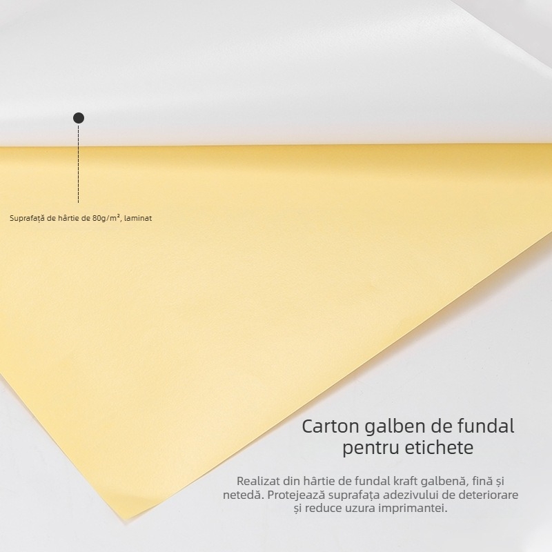 Hârtie autoadezivă pentru etichete pentru imprimantă laser, model 11878, brand Deli, material: etichete Copperplate autoadezive, adeziv: topire la cald, suprafață: hârtie lucioasă 78 g