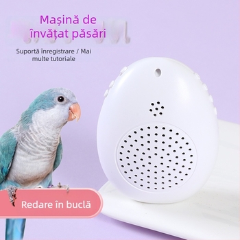 Dispozitiv de antrenament pentru păsări – trainer de vorbit pentru papagal, corp din plastic, brand Happy Parrot, pentru păsări