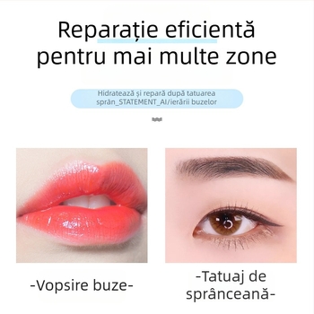 Gel de reparare semi-permanent pentru sprâncene, linia ochilor și buze; cremă de curățare