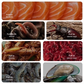 Hrană pentru țestoase Yee – hrană pe fragmente; Brand: Yee; Origine: Shandong; Ambalaj: 1 bucată; Tip: hrană pentru animale de acvariu