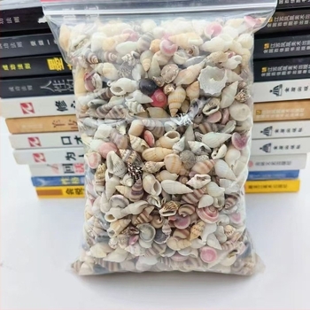 Little dream Set materiale pentru acvariu – scoici naturale și conchii pentru micro-peisaj, materiale personalizabile