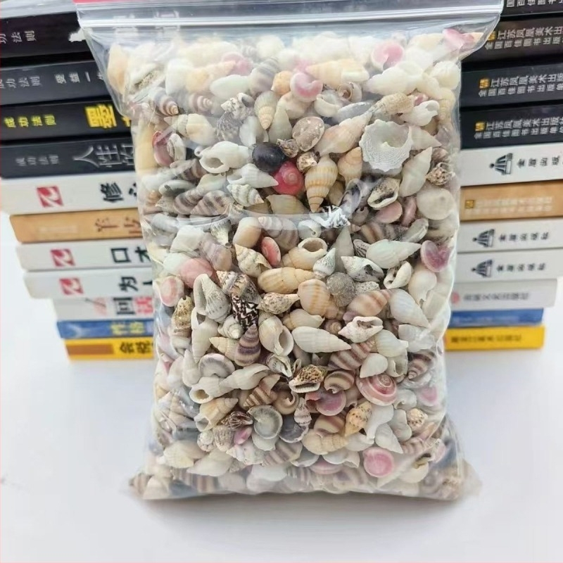 Little dream Set materiale pentru acvariu – scoici naturale și conchii pentru micro-peisaj, materiale personalizabile