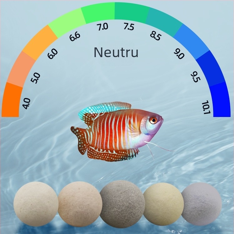 Mediu Filtrant cu Bile Purificatoare Jingye, 0.5 kg, Calitatea Apei