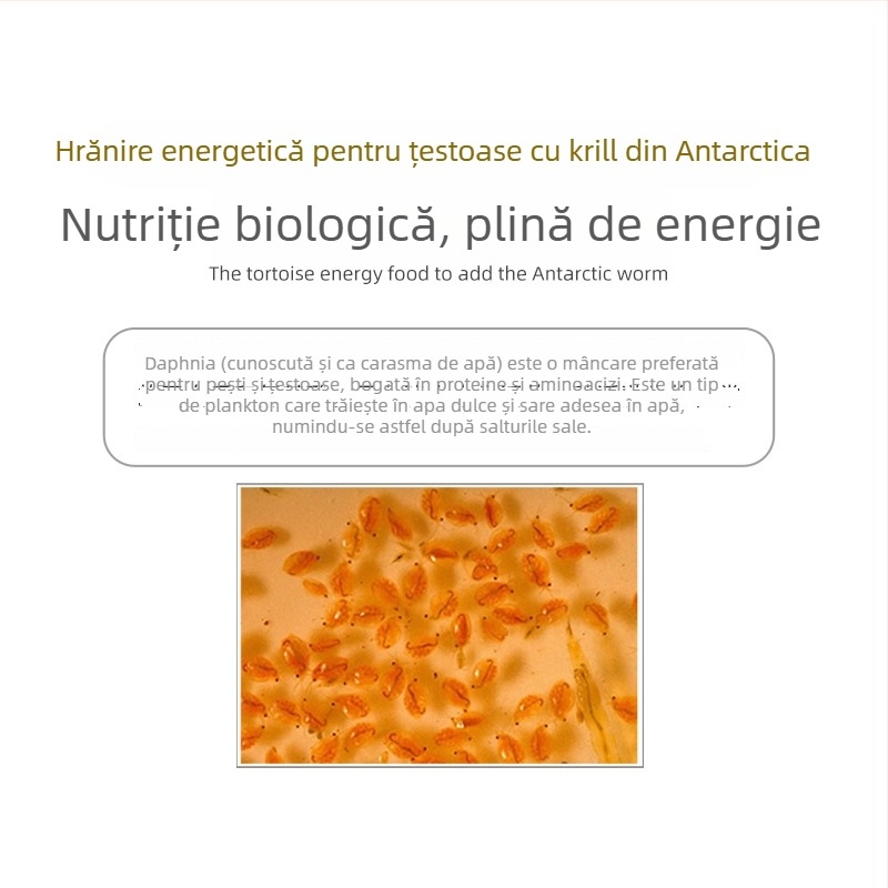 Hrană pentru țestoase — granule, marcă Deera/Bailjia, tip: hrană pentru animale de acvariu