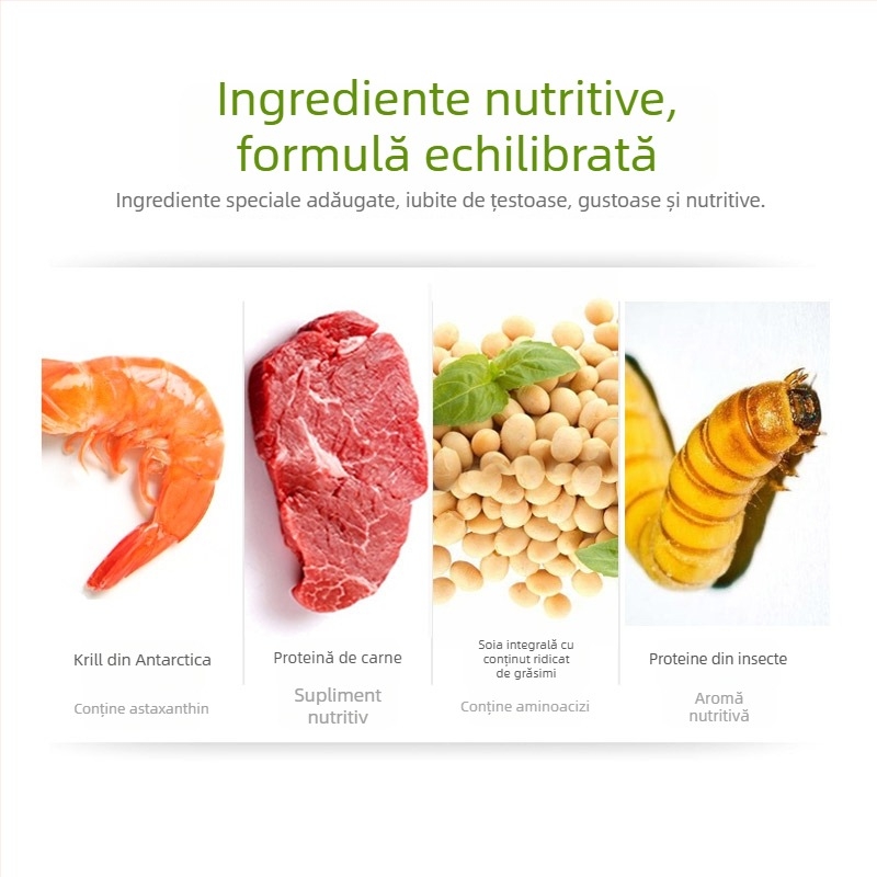 Hrană pentru țestoase — granule, marcă Deera/Bailjia, tip: hrană pentru animale de acvariu