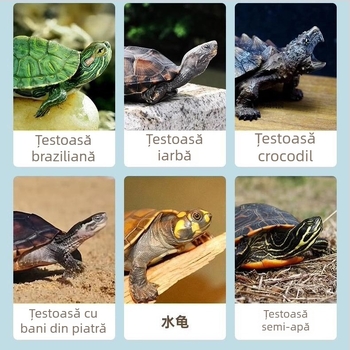 Hrană pentru țestoase - fără sare, viermi uscați și creveți uscați, pentru țestoase de acvariu