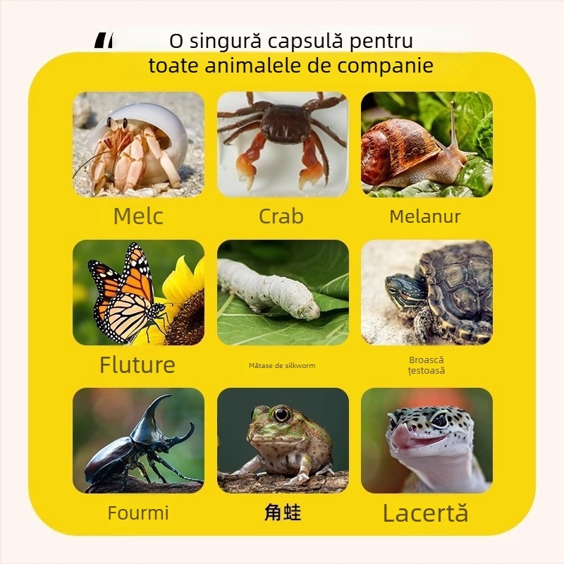Cutie de observație ecologică pentru copii – plastic, marcă Kou Duck, pentru copii 3–6 ani