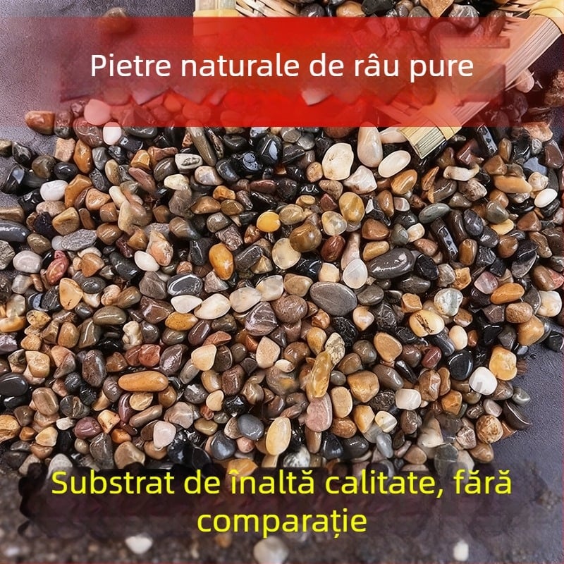 Siweibo Stream Stone – piatră naturală pentru amenajarea acvariilor, substrat pentru acvariu, origine China