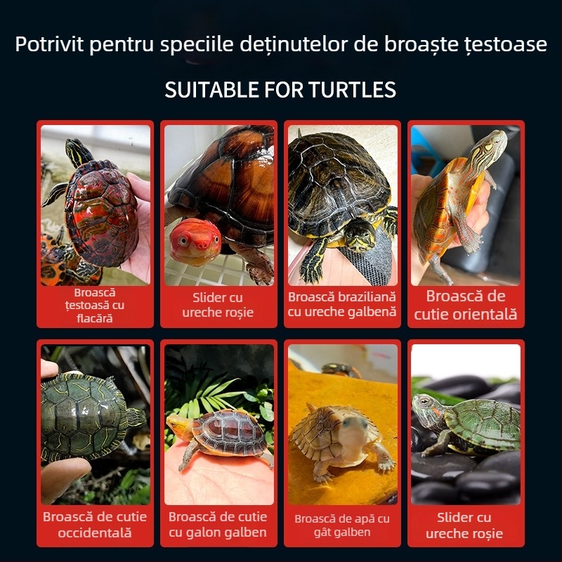 Crazy Water Plants hrană granulară pentru țestoase acvatice – 500 g, granule, animale de companie acvatice