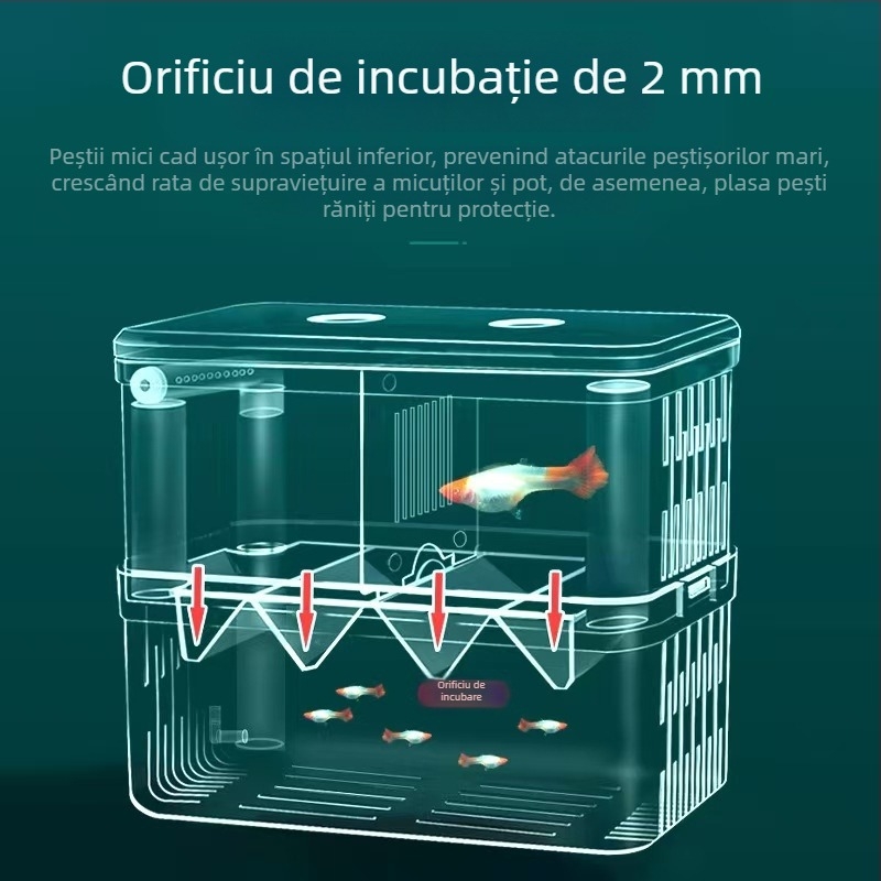 Incubator acvariu Betta, material PS, separare la incubare, marcă Yao liu ba