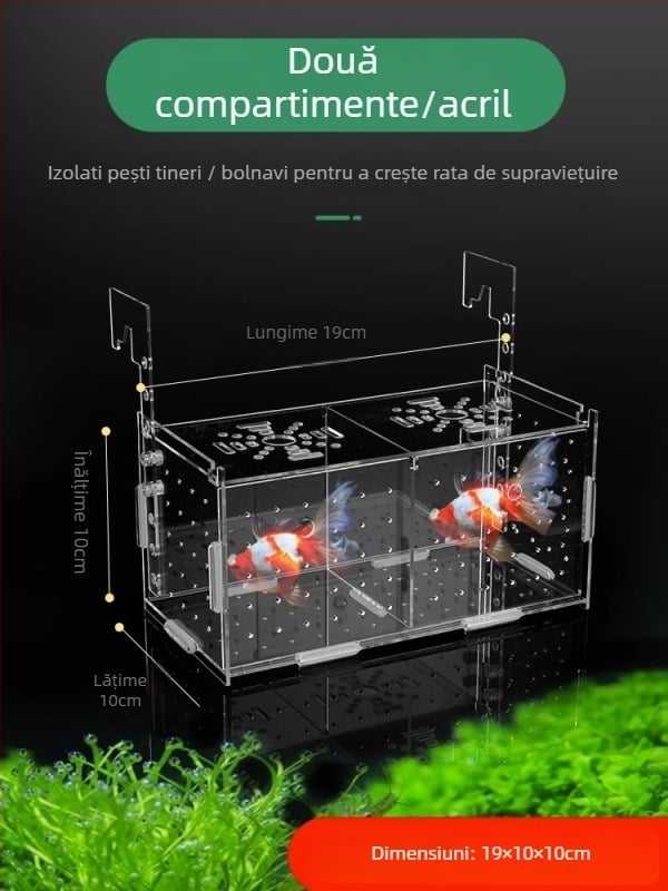 Cutie izolatoare acrilică pentru acvariu – incubare guppy, pui de țestoasă, Betta și pești tropicali; Material: acrilic; Origine: Hebei; Categorie: echipamente acvariu