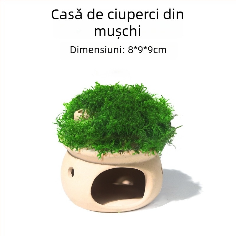 Ornament ceramic pentru acvariu — adăpost și peisaj; Brand Crazy aquatic plants; Material ceramic; Funcție adăpostire și amenajare; Scop principal: amenajare, adăpost