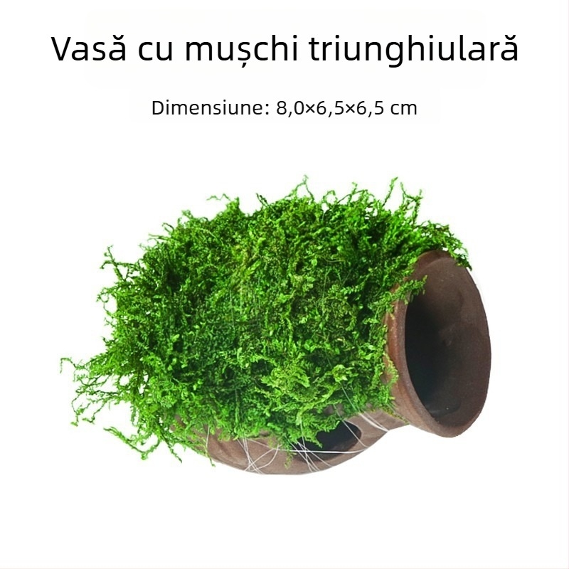 Ornament ceramic pentru acvariu — adăpost și peisaj; Brand Crazy aquatic plants; Material ceramic; Funcție adăpostire și amenajare; Scop principal: amenajare, adăpost