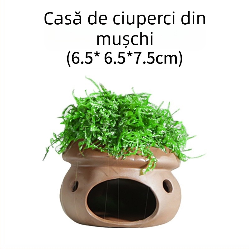 Ornament ceramic pentru acvariu — adăpost și peisaj; Brand Crazy aquatic plants; Material ceramic; Funcție adăpostire și amenajare; Scop principal: amenajare, adăpost
