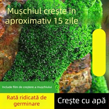 Pulbere de spori de mușchi — Brand Independence, neimportat, pentru micro-peisaje și bonsai