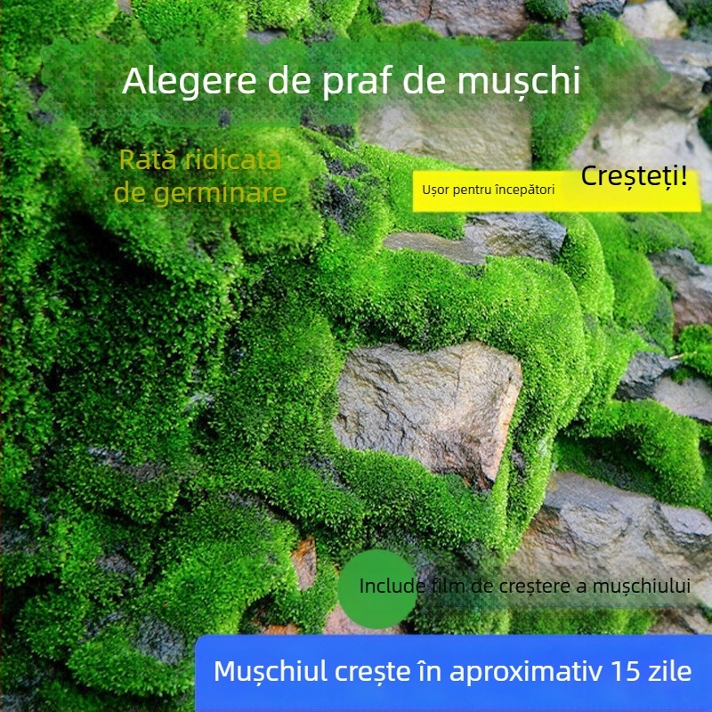 Pulbere de spori de mușchi — Brand Independence, neimportat, pentru micro-peisaje și bonsai