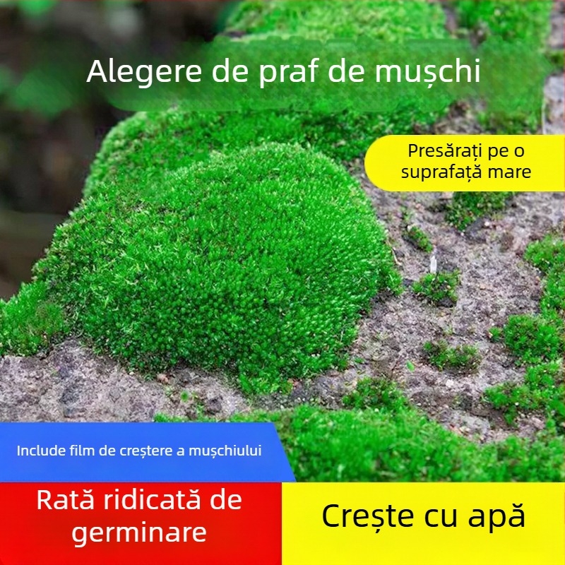 Pulbere de spori de mușchi — Brand Independence, neimportat, pentru micro-peisaje și bonsai