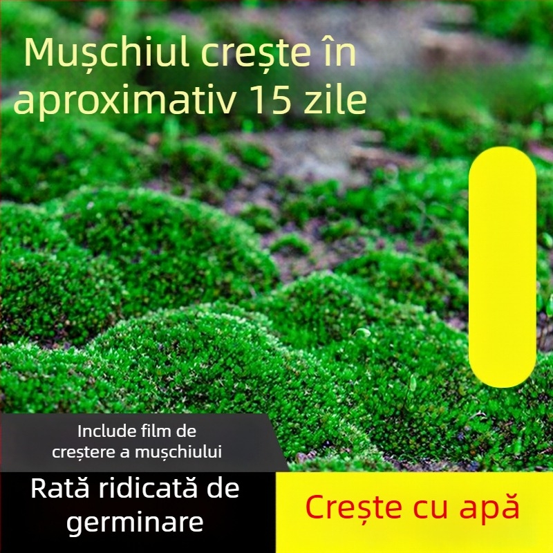 Pulbere de spori de mușchi — Brand Independence, neimportat, pentru micro-peisaje și bonsai