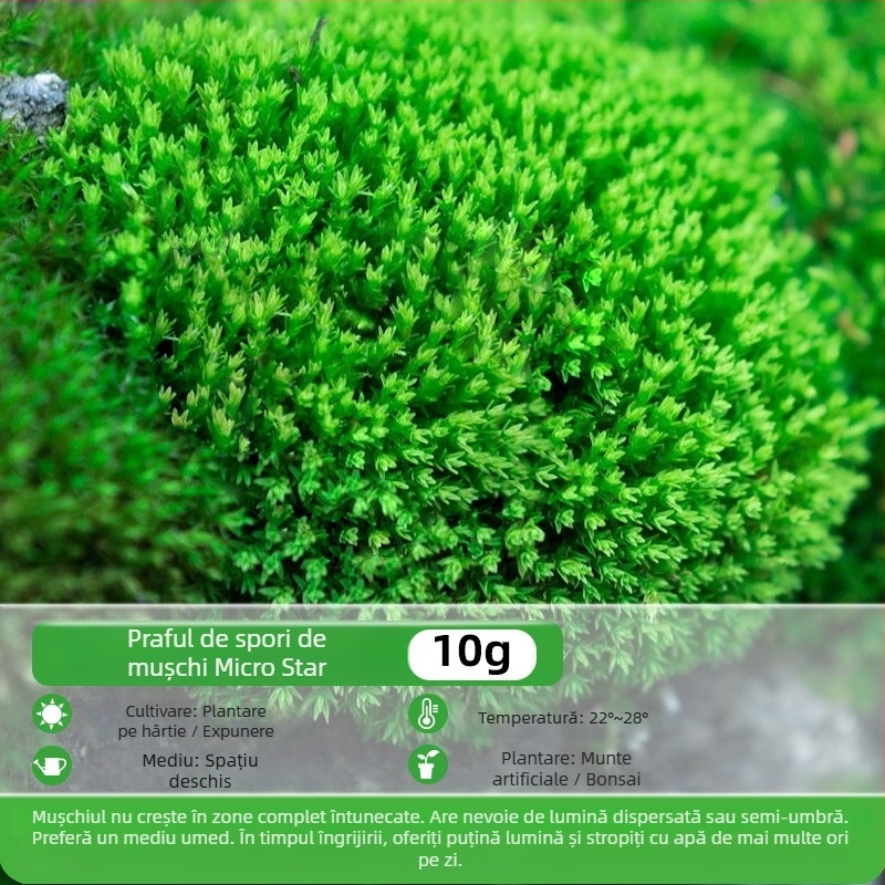 Pulbere de spori de mușchi — Brand Independence, neimportat, pentru micro-peisaje și bonsai