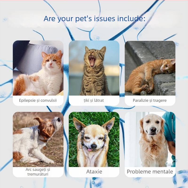 Xin Daming Suplimente pentru sănătatea animalelor – Tablete neurotropice pentru susținerea nervilor și întărirea organismului, pentru pisici și câini, 50 g