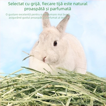 Hrană uscată pentru iepuri și purcei de Guinea – fân Timothy, uscat la soare, 500 g, pentru animale tinere