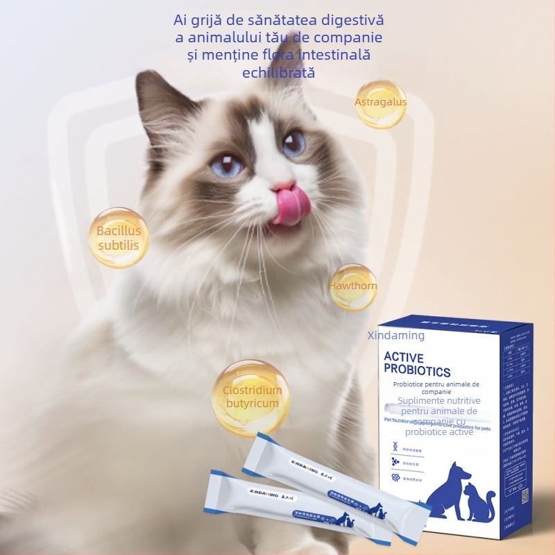 Probiotice pentru animale de companie (pisici și câini), utilizare generală, 50 g pe cutie, 100 cutii pe carton, Xin daming