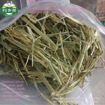 Homecoming hrană uscată pentru iepuri și chinchile – fân de grâu, 500 g, pungă Ziplock, uscat