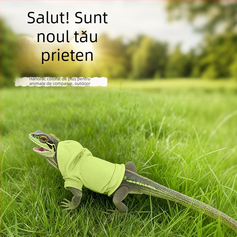 Tricou cu glugă pentru șopârle, costum transformabil pentru animale de companie mici, poliester, Heart Flow, personalizabil