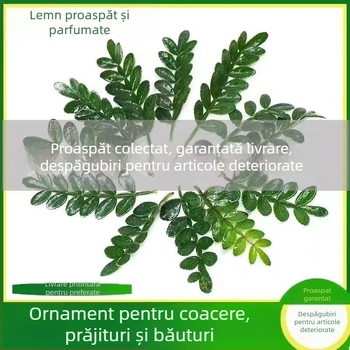 Frunze comestibile pentru decorul prăjiturilor — plantă lemnoasă aromată în ghiveci Pepper Wood, cod produs 33699