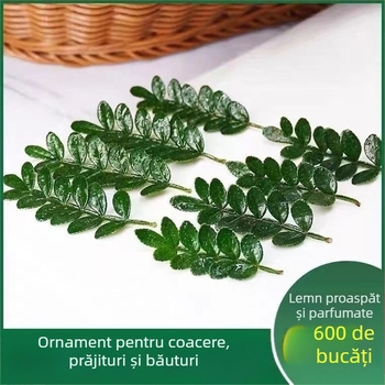 Frunze comestibile pentru decorul prăjiturilor — plantă lemnoasă aromată în ghiveci Pepper Wood, cod produs 33699
