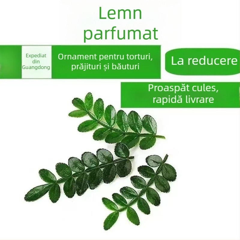 Frunze comestibile pentru decorul prăjiturilor — plantă lemnoasă aromată în ghiveci Pepper Wood, cod produs 33699