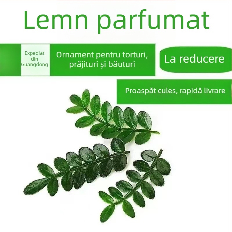 Frunze comestibile pentru decorul prăjiturilor — plantă lemnoasă aromată în ghiveci Pepper Wood, cod produs 33699