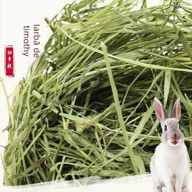 Fân Timothy uscat pentru iepuri și porcușori de Guinea – hrană pentru animale de companie
