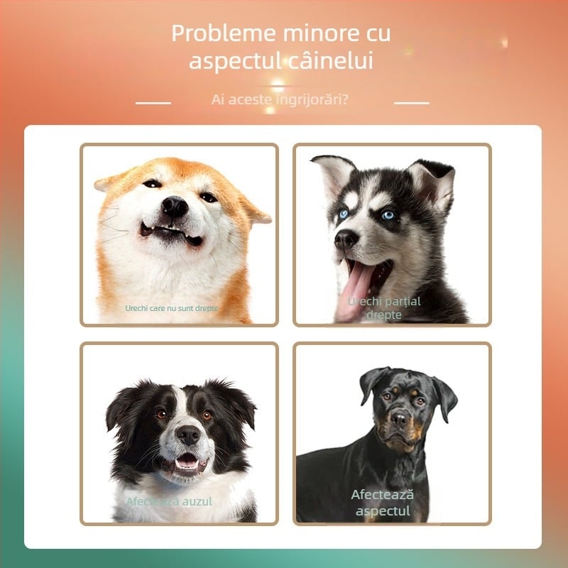Patch pentru urechi de câine – îngrijire și corecție a urechilor, din material nețesut, ambalaj de  pentru câini adulți și cățeluși