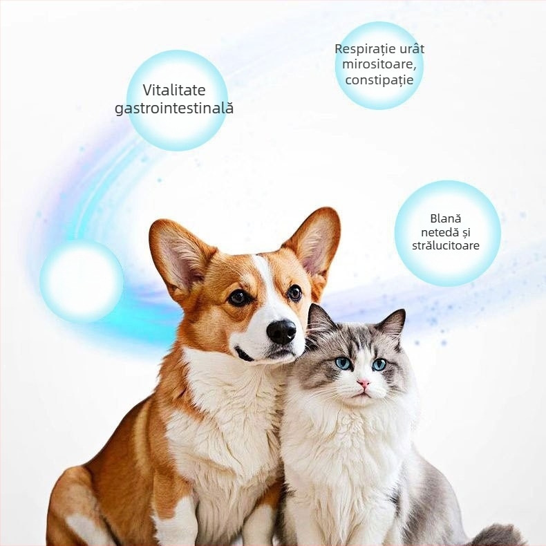 Supliment de sănătate pentru animale de companie: tablete multivitaminice cu probiotice pentru pisici, câini, animale mici și reptile; controlul baloanelor de păr; ambalaj cu 200 de bucăți