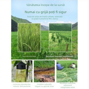 Hrană uscată pentru iepuri tineri – Timothy Hay, 500 g, TZ6RSXHS | Hrană pentru animale de companie