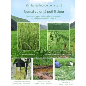 Hrană uscată pentru iepuri tineri – Timothy Hay, 500 g, TZ6RSXHS | Hrană pentru animale de companie