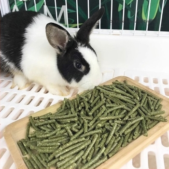 Hrană umedă cu granule de iarbă Timothy pentru iepuri adulți și rozătoare mici – hrană pentru animale de companie