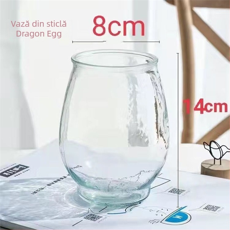 Guanyin bambus (Lucky bamboo) – 4 bucăți hidroponic cu rădăcini pentru interior, sufragerie, Cod produs H0114150525