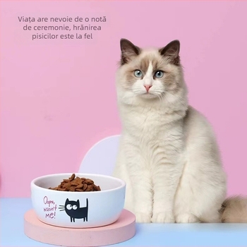 Vas ceramic pentru animale de companie, design cu pisicuță neagră desen animat, universal pentru pisici și câini, ușor de curățat, marca Elite.