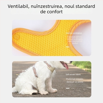 Lesă pentru pisici cu ham de torace, poliester, pentru pisici, pachet 100
