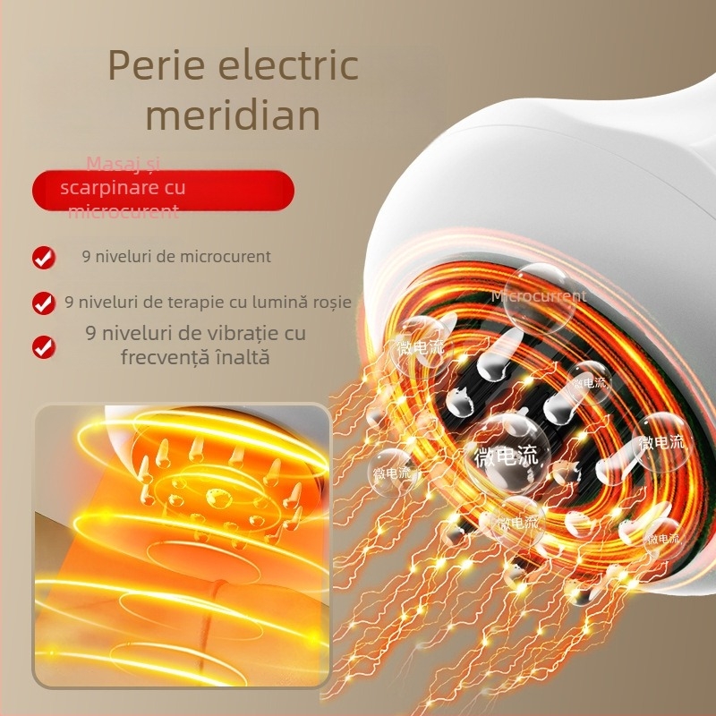 Masajer electric pentru meridiane cu vibrații și încălzire, model pk6103; baterie reîncărcabilă; potrivit pentru gât, spate, talie, picioare și brațe superioare; control prin buton; greutate 300 g; include instrucțiuni și uleiuri esențiale
