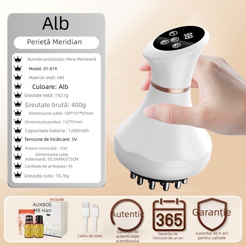 Instrument electric de masaj pentru meridiane, reîncărcabil, cu frecare, microcurent, vibrație și încălzire