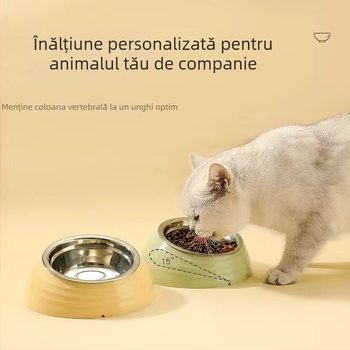 Castron de hrănire pentru pisici din plastic și oțel inoxidabil, margine înclinată pentru protecția gâtului, marca Qichong