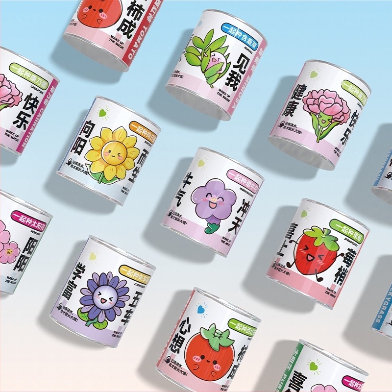 Mini plante în cutie surpriză pentru plantare: strawberry, gypsophila, morning glory; ideale ca cadou pentru clasă sau recompense pentru elevi