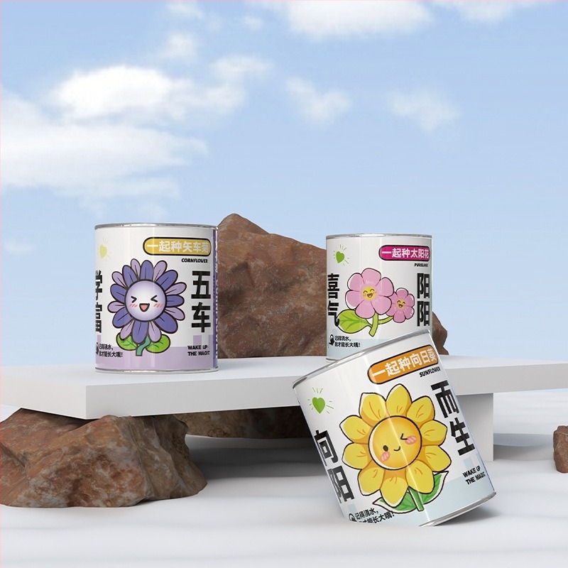 Mini plante în cutie surpriză pentru plantare: strawberry, gypsophila, morning glory; ideale ca cadou pentru clasă sau recompense pentru elevi